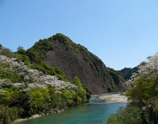 古座川の一枚岩 写真01
