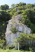 椿の白岩